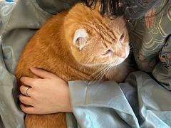 -平行世界·猫咖(首经贸店)