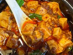 -陈麻婆豆腐总店
