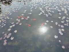 -白马涧龙池景区