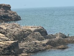 -摩天岭风景区