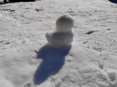 -绿野森林乐园冰雪季