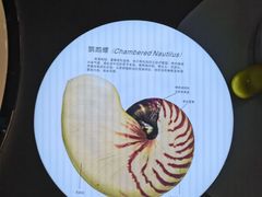 -海合安青岛极地海洋公园