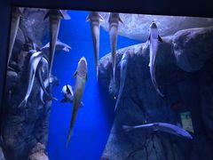 -成都浩海立方海洋公园