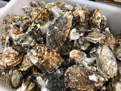 扇贝&nbsp;生耗-宾朋海鲜美食餐厅·特色美食(兴海路店)