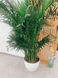 -和颜一美轻医美连锁