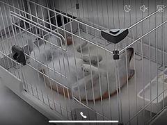 -江南赋(内蒙古大厦店)