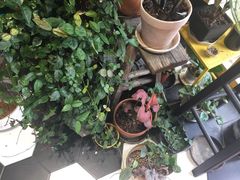 -About Bistro關於·泰式家庭料理