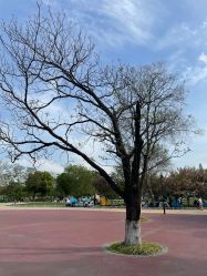 -玄武湖景区-情侣园游乐场