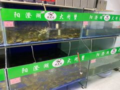 -阳澄湖大闸蟹·琼灵阁牌品牌连锁(吴中总店)