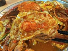 -瑞丽活螃蟹(芒市店)