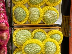 -三亚新鸿港水果一级批发市场