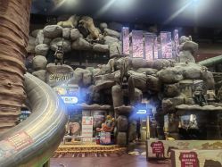 -卡通尼·Safari非洲探索乐园·生日会(金桥国际商业广场店)