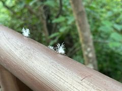 -广东大峡谷