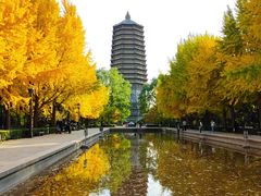 -玲珑塔公园