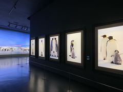 -罗红摄影艺术馆