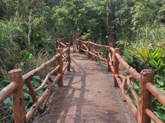 -海南热带雨林国家公园吊罗山景区