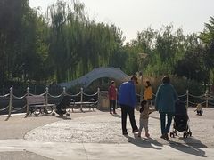 -康庄公园