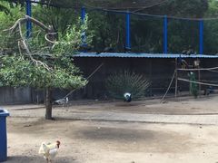 森林公园-森林公园(尖草坪区)
