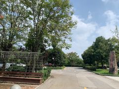 -三江森林温泉度假区