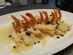 蒜蓉蒸开边大明虾-都市阳光海鲜城(青山湖店)
