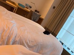 -香港港岛英迪格酒店