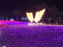 -广东花都香草世界旅游度假区