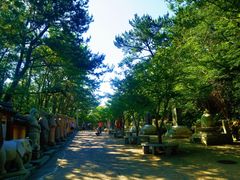 -海东龙宫寺