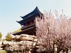 -晋祠公园