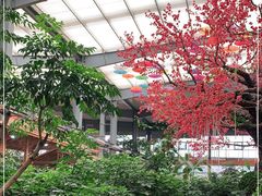 -君临七星生态酒店