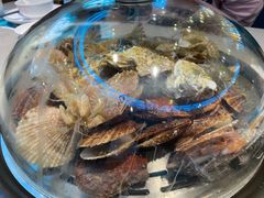 -大锅强·蒸海鲜青岛菜(吾悦广场店)