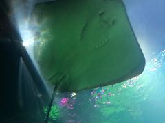 -沈阳海洋探索中心