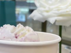 酸奶蓝莓雪芭-Angelina安吉丽娜(恒隆广场店)