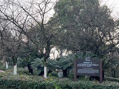 -南山植物园