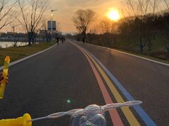 -羊山湖公园
