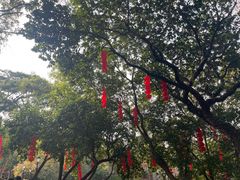 -荔湾湖公园