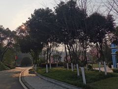 -重庆园博园