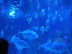 -台州海洋世界