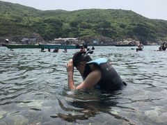 -广东惠东海龟国家级自然保护区