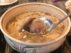 五指毛桃药膳鸽-鸽鸟轩(石岐店)