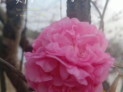 -北运河水利风景区