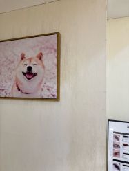 -初心はつ こころ日式美甲美睫沙龙