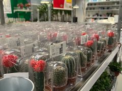 -宜家家居(四元桥商场店)