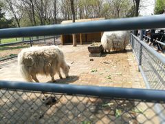 -长白岛森林公园