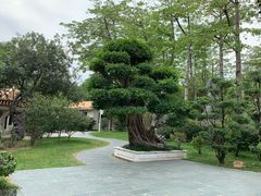 -荔枝公园(福田区)