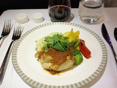 -新加坡航空公司(ION)