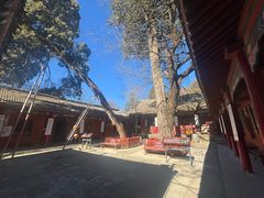 -少华山国家森林公园