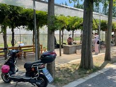 -前小桔亲子创意农场·草莓采摘·露营烧烤