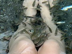 -南京汤山紫清湖生态旅游温泉度假区