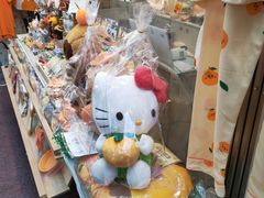 -西归浦每天偶来市场