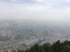 -兰山公园